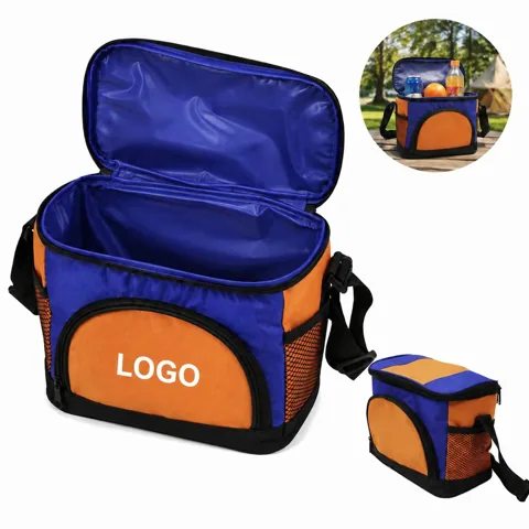 Portable 6 Can Insulated Cooler Tote Bag, Waterproof Oxford