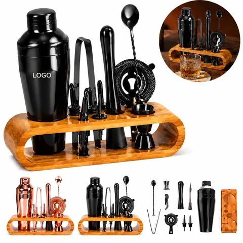 Professional 10-Piece Cocktail Mixology Kit with Shaker